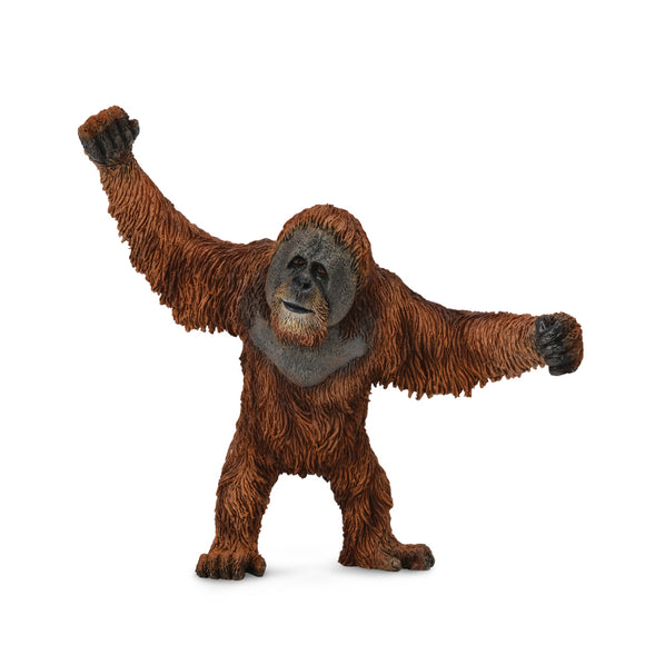 CollectA Wife Life - Orangutan