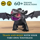 How To Train Your Dragon - Tame and Train Interactive Toothless