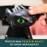 How To Train Your Dragon - Tame and Train Interactive Toothless
