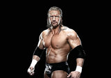 Playmobil 71963 - WWE® Triple H