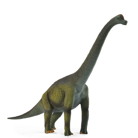CollectA Prehistoric World Series - Brachiosaurus