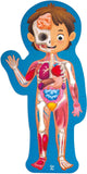 Hape - Human Body Puzzle