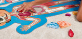 Hape - Human Body Puzzle