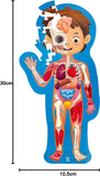 Hape - Human Body Puzzle