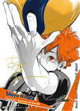 TOMY HV-D01 HAIKYU !! TCG: Vol. 1 VOBACA BREAK: Starter Deck Karasuno High School (English Version)