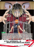 TOMY HV-D01 HAIKYU !! TCG: Vol. 1 VOBACA BREAK: Starter Deck Karasuno High School (English Version)
