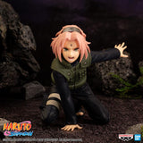 Naruto: Shippuden Panel Spectacle Sakura Haruno