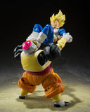 Dragon Ball Z S.H.Figuarts Android 19