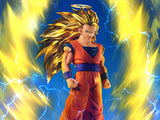 Dragon Ball Z Blood of Saiyans Super Saiyan 3 Goku