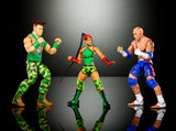 WWE x Street Fighter Elite Action Figure
