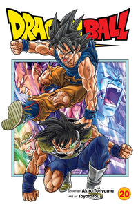 Dragon Ball Super, Vol. 20 by Akira Toriyama