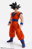 Tamashii Nations Dragon Ball Z Imagination Works - Son Goku Action Figure